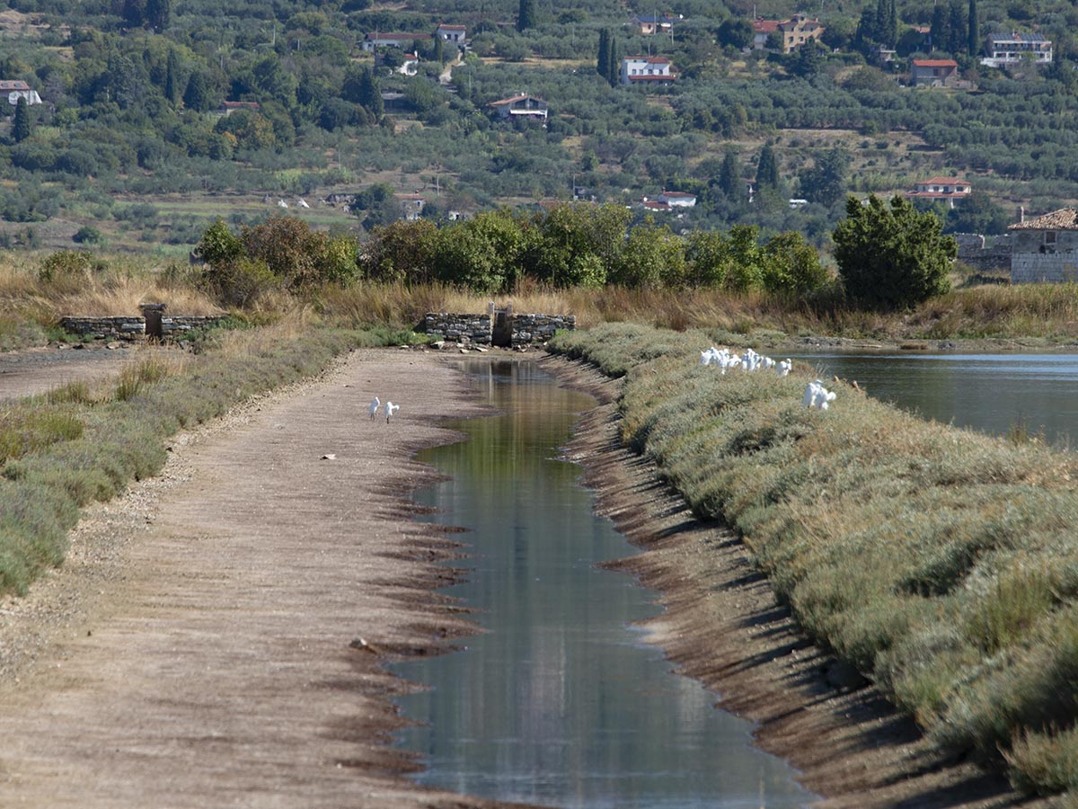 Kanal mit Seidenreiher